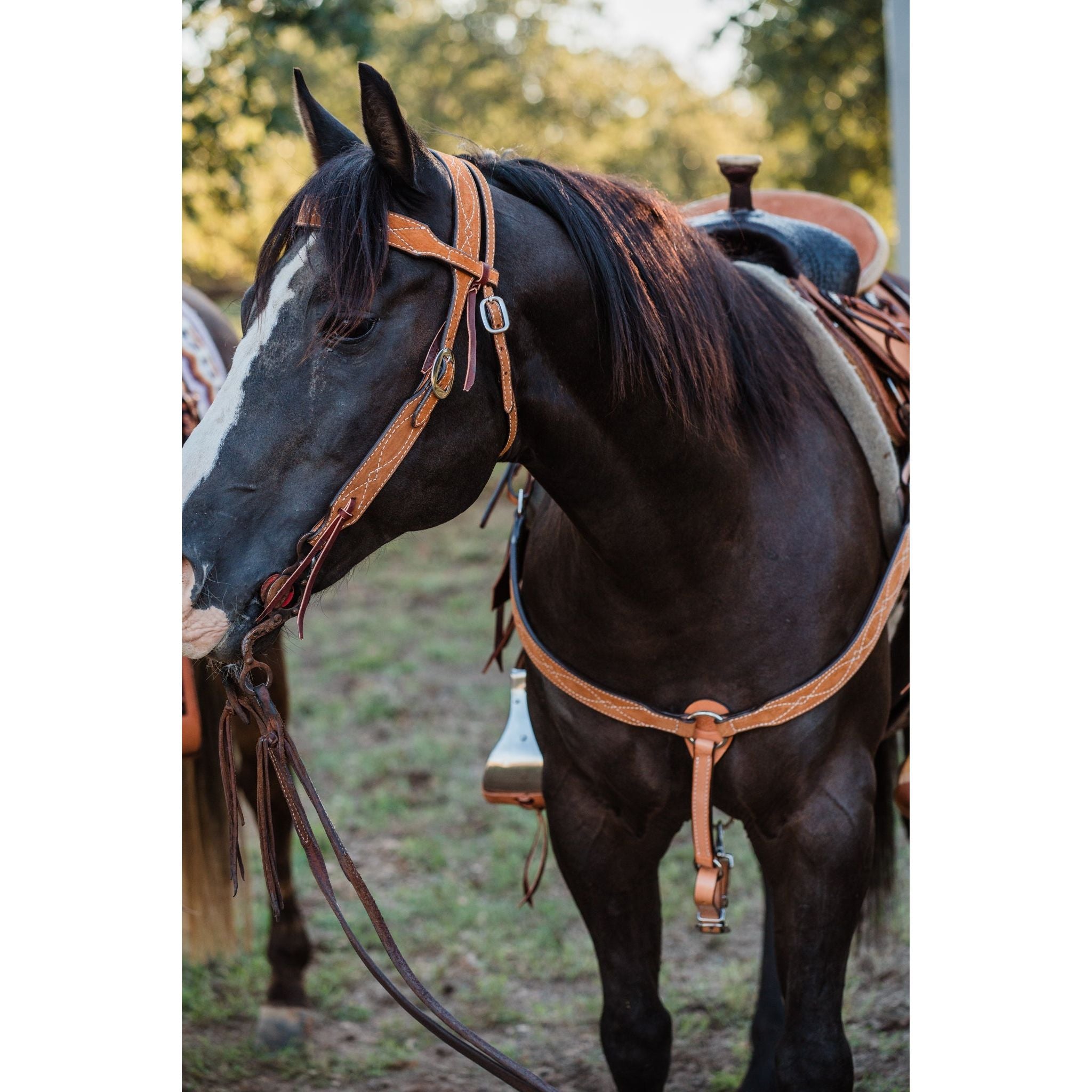 BC1176 - Toast Suede Breast Collar - Double J Saddlery