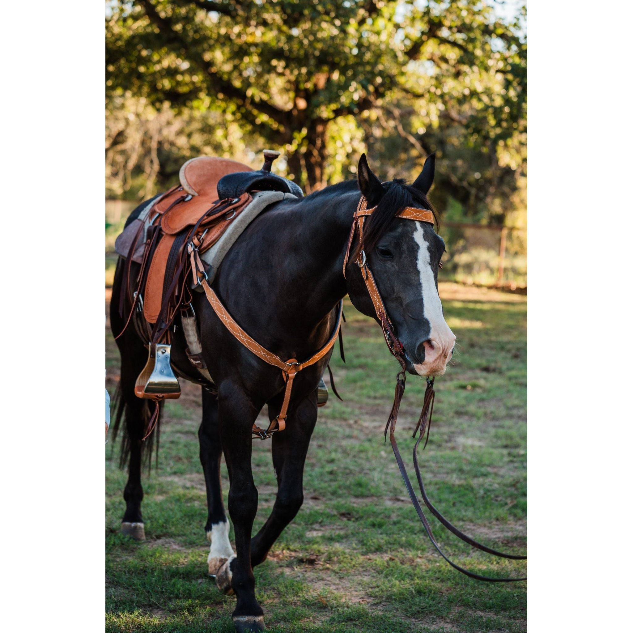 BC1176 - Toast Suede Breast Collar - Double J Saddlery