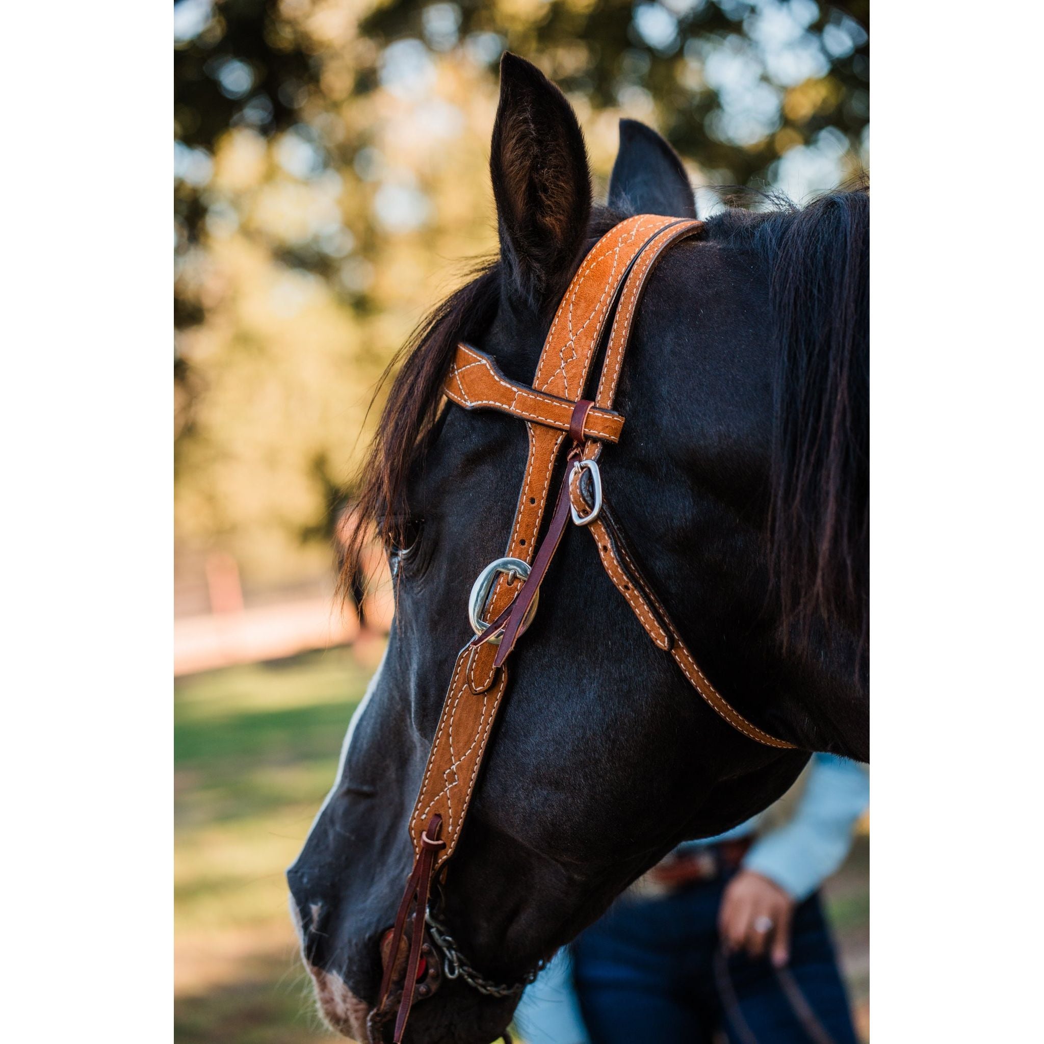 H1283TW - Toast Suede Headstall - Double J Saddlery