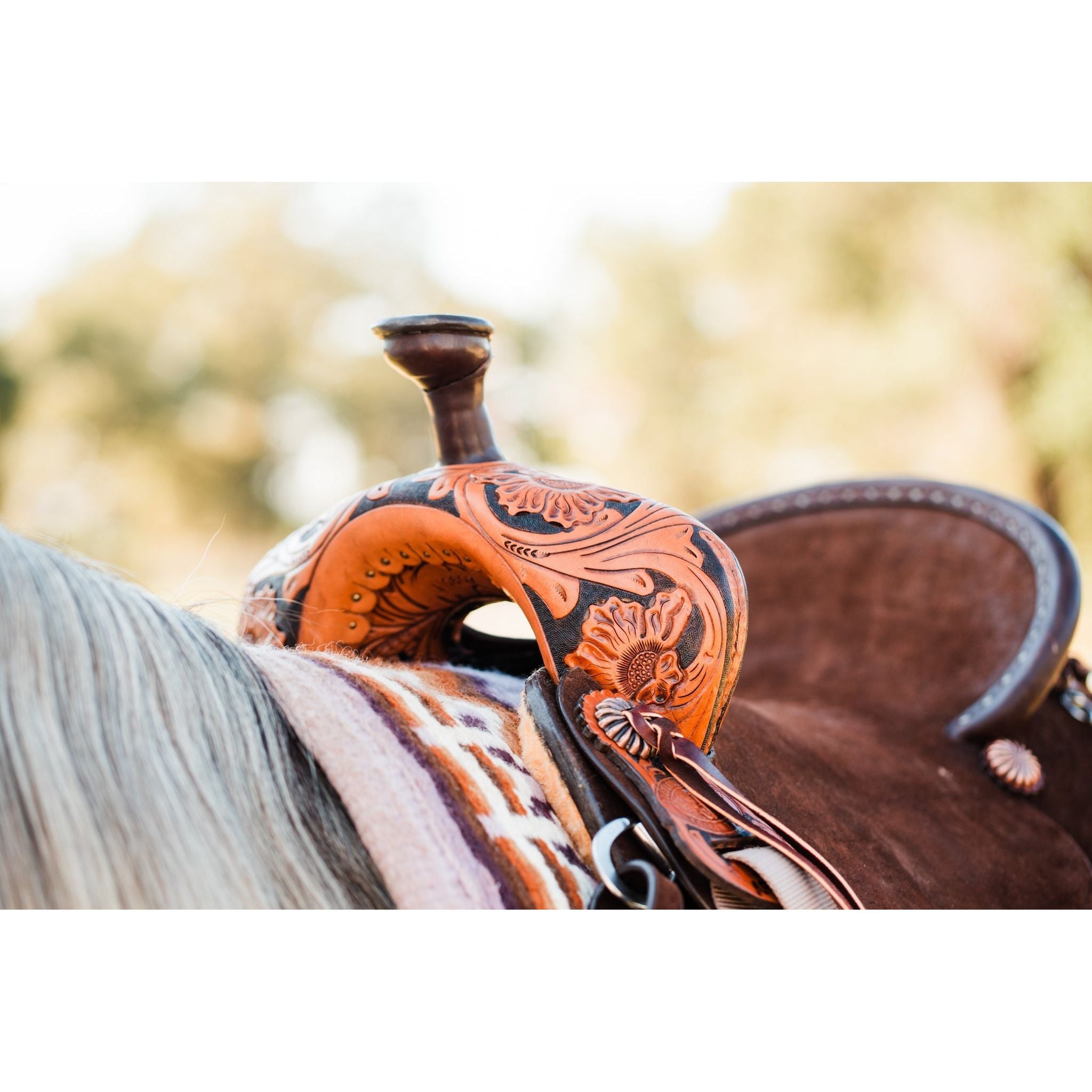 SPRLA408 - Double J All Around - Double J Saddlery