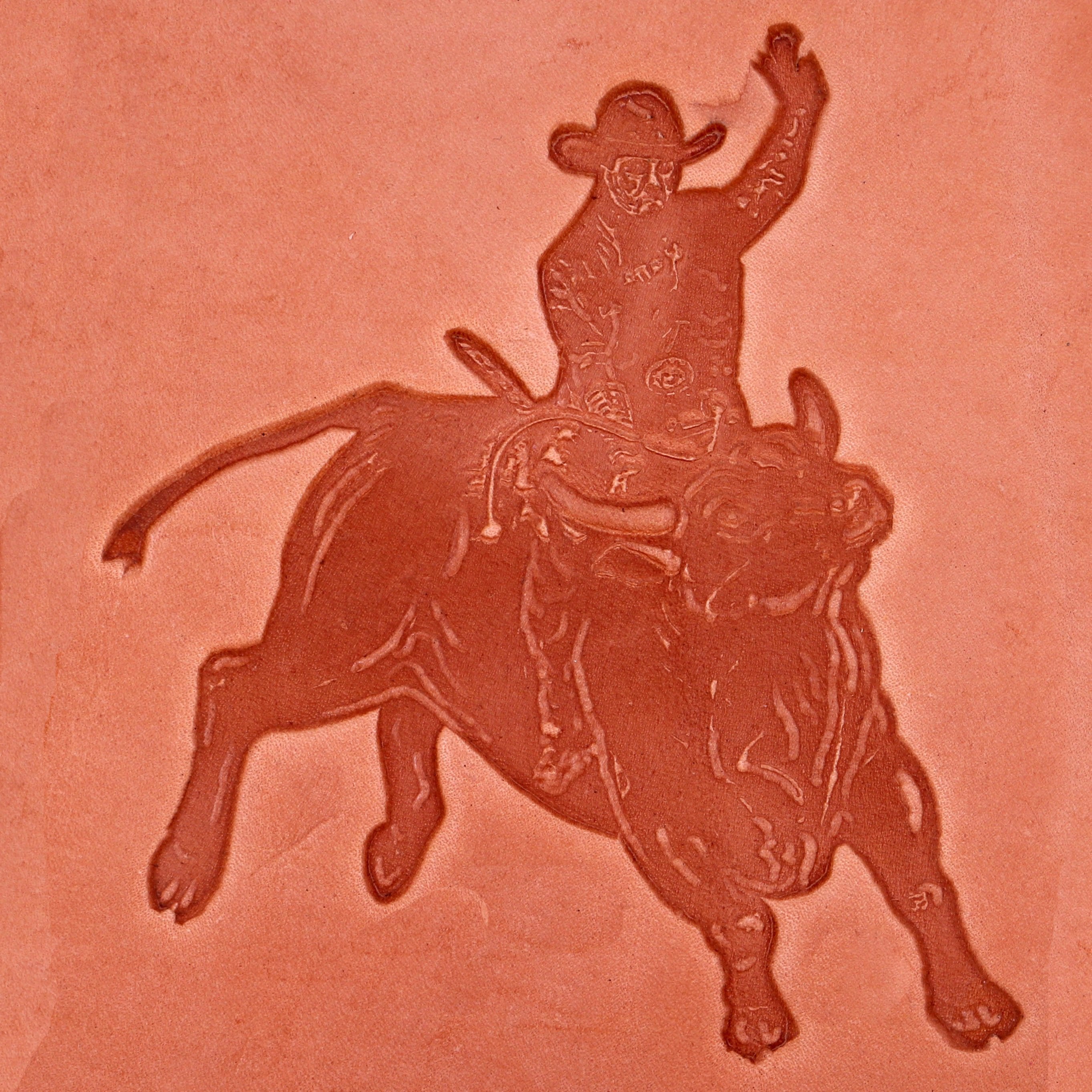 Bull Rider Motif Design Option