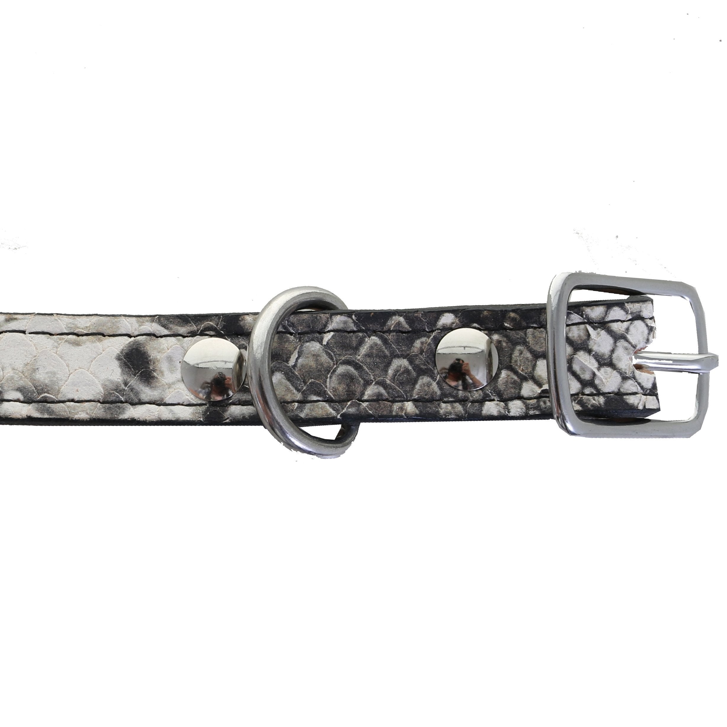 Dc44 - Cobra Snake Print Leather Dog Collar Accessories