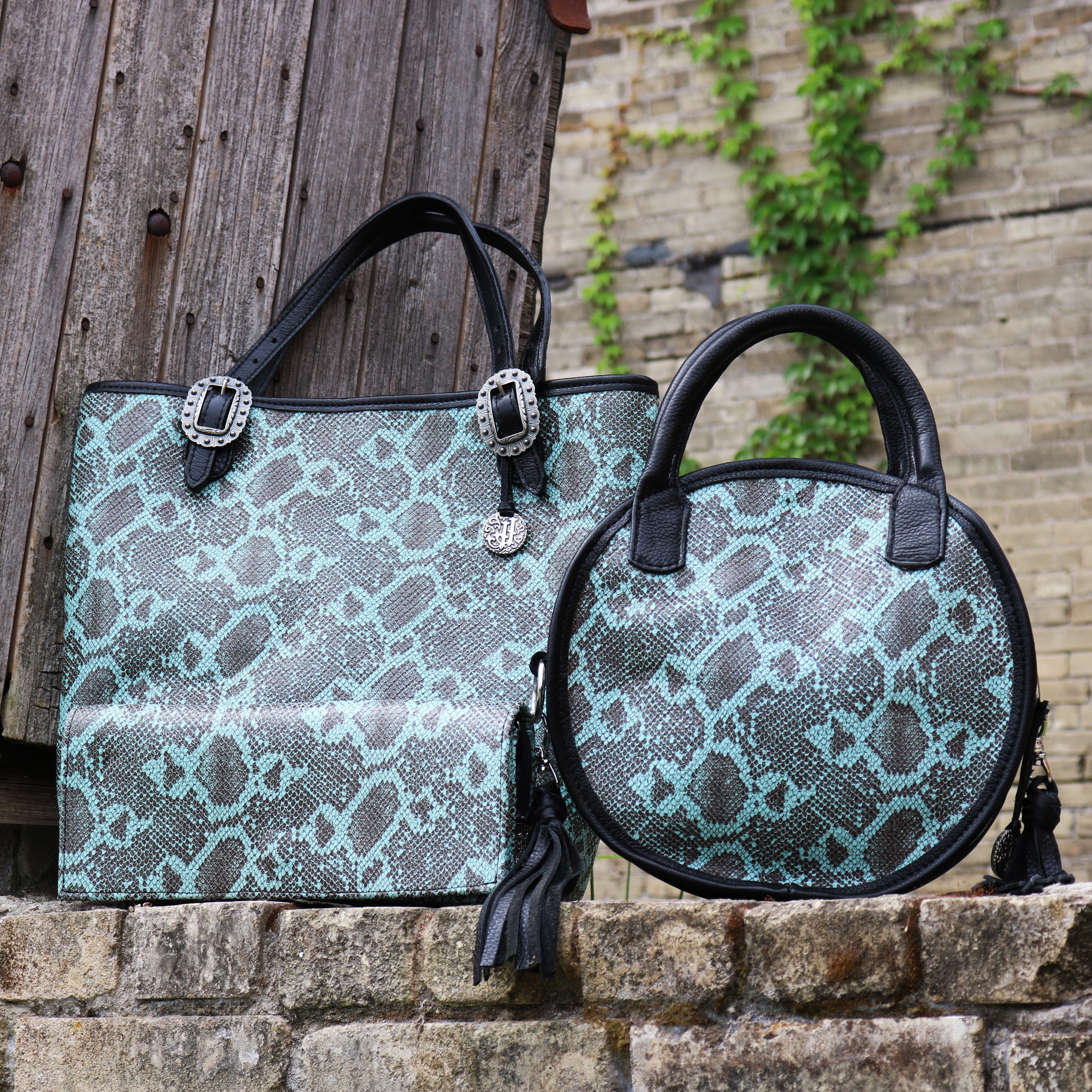 Crtl01 - Turquoise Desert Snake Print Large Circle Tote Handbag