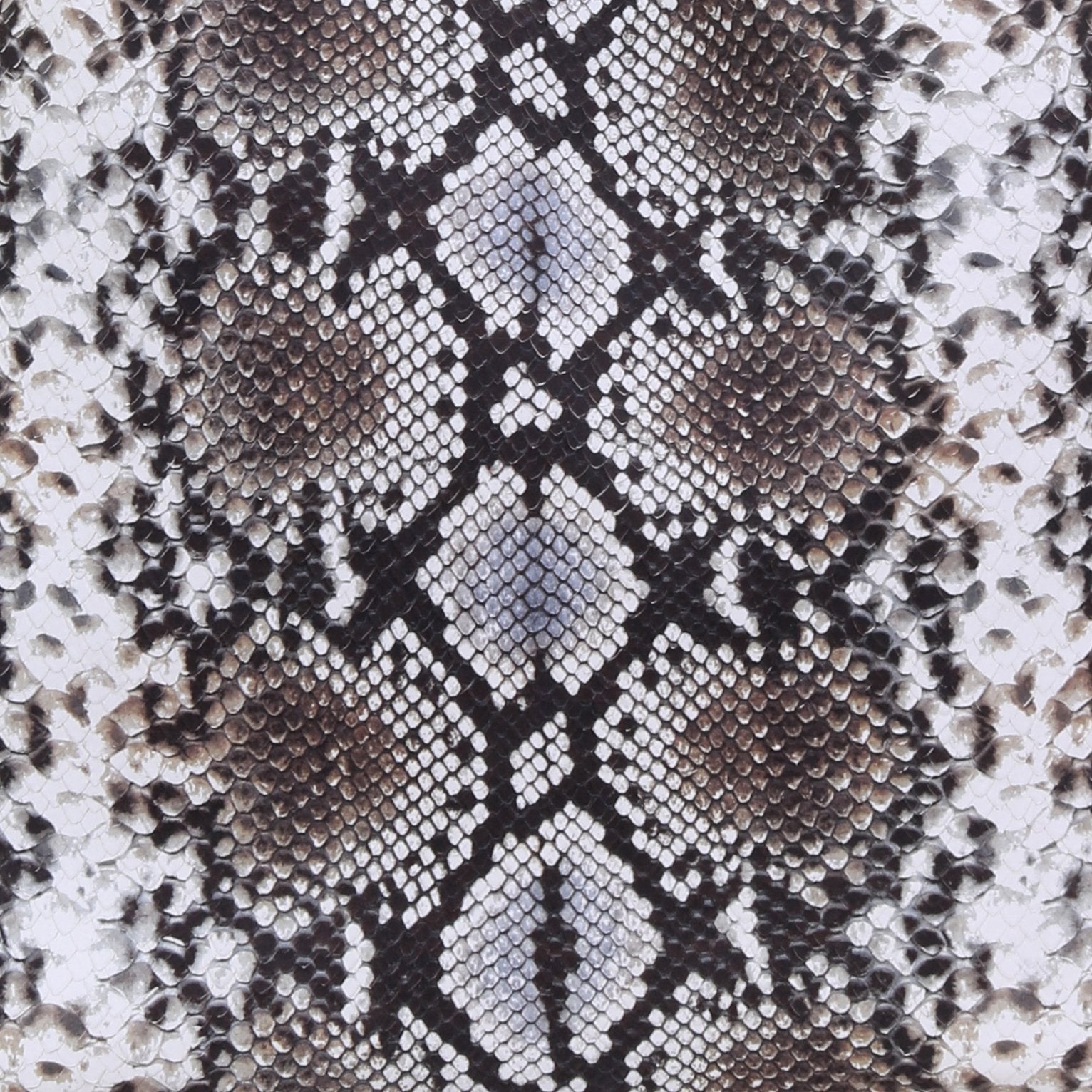 Black And White Snake Print - Sl1610 Design Option