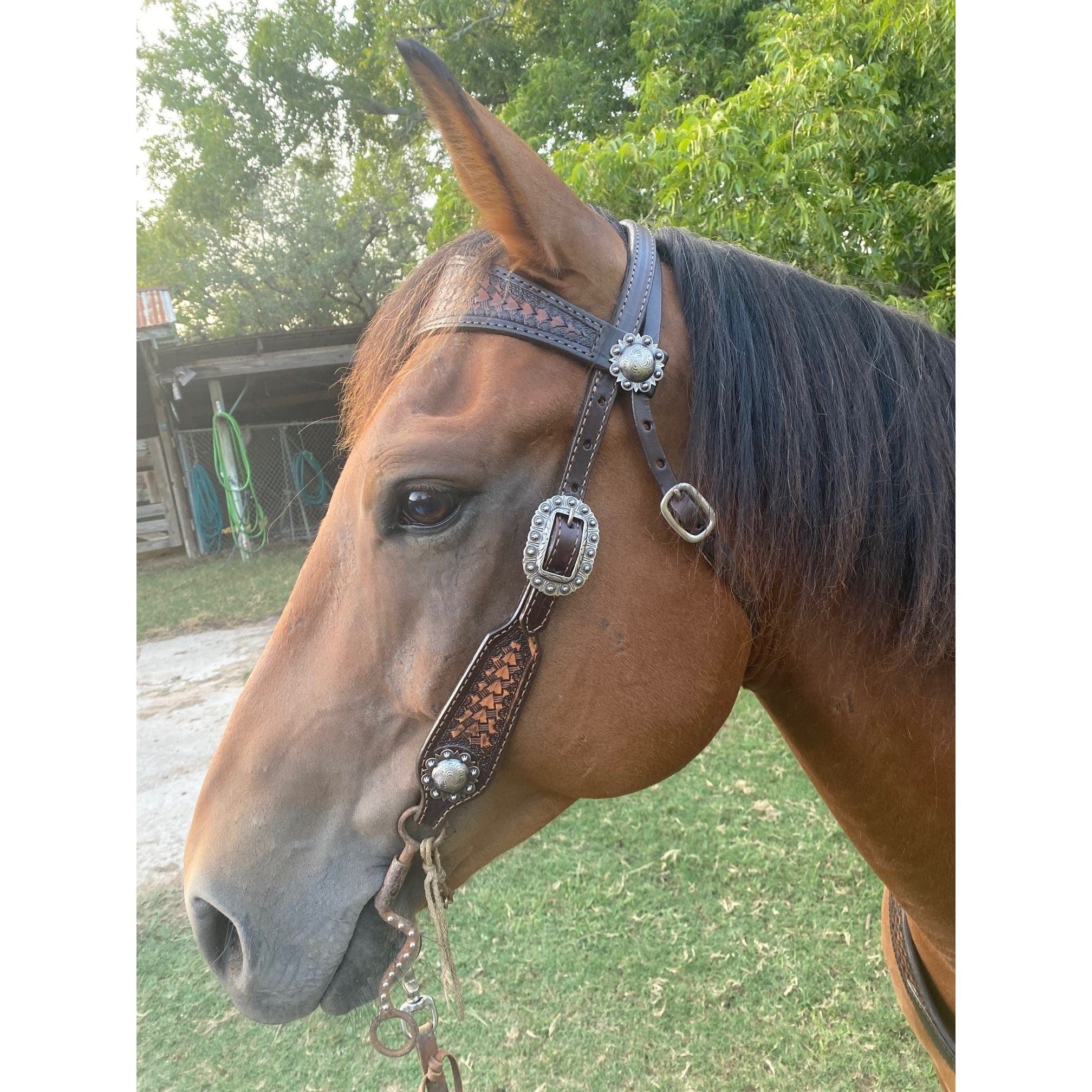 H1248 - Brown Vintage Tooled Headstall - Double J Saddlery