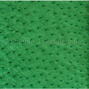 Kelly Green Ostrich Leather - SL227 - Double J Saddlery