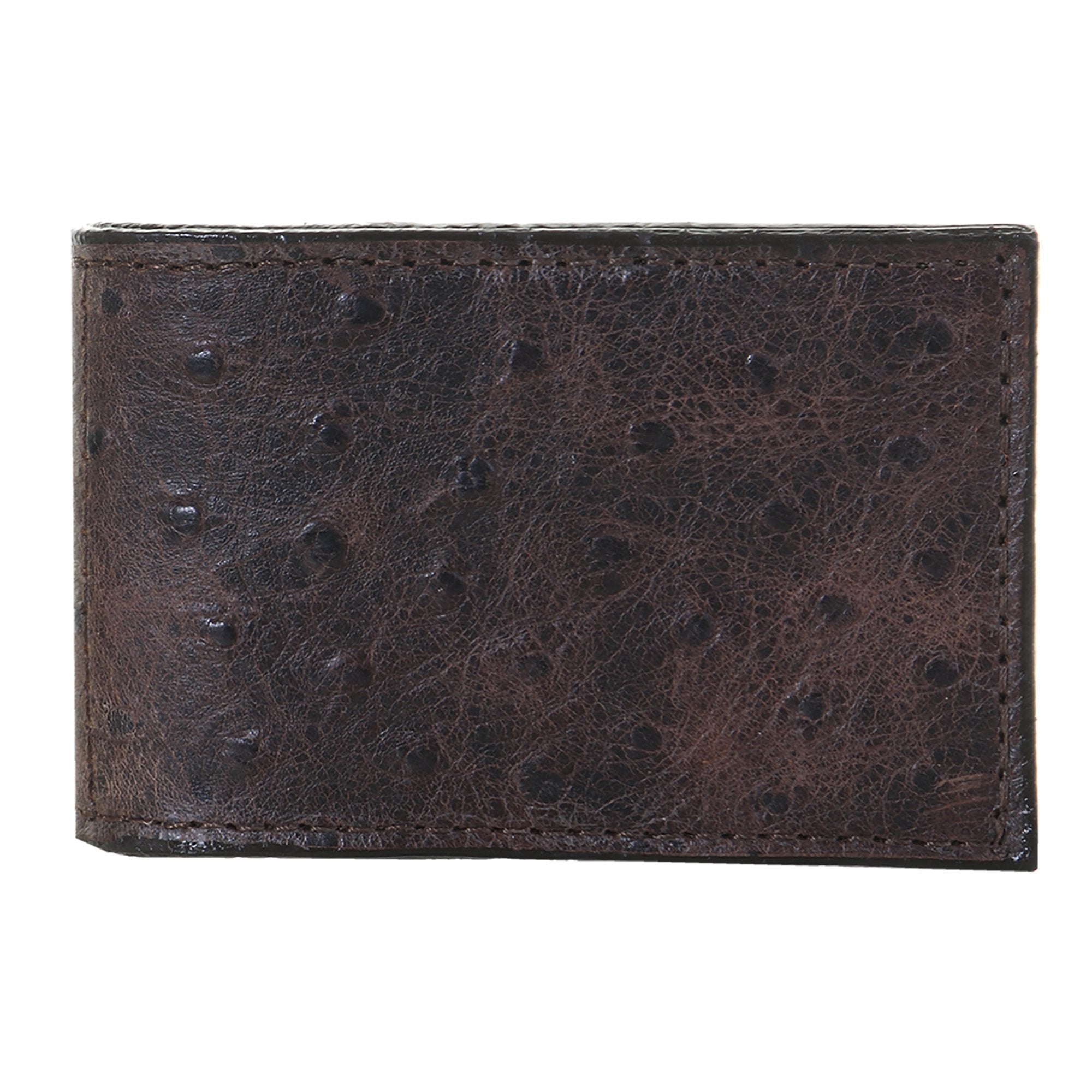 MC143 - Brown Ostrich Print Money Clip - Double J Saddlery