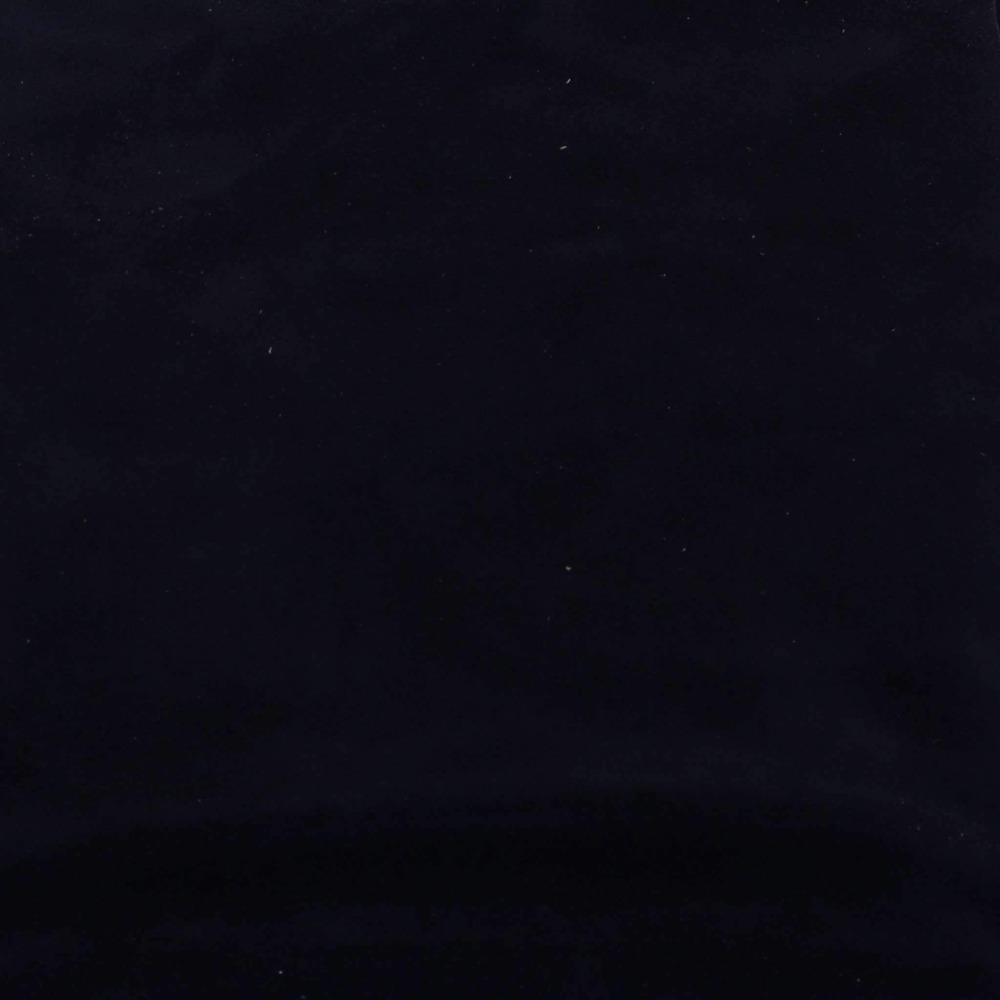 Navy Suede - Double J Saddlery