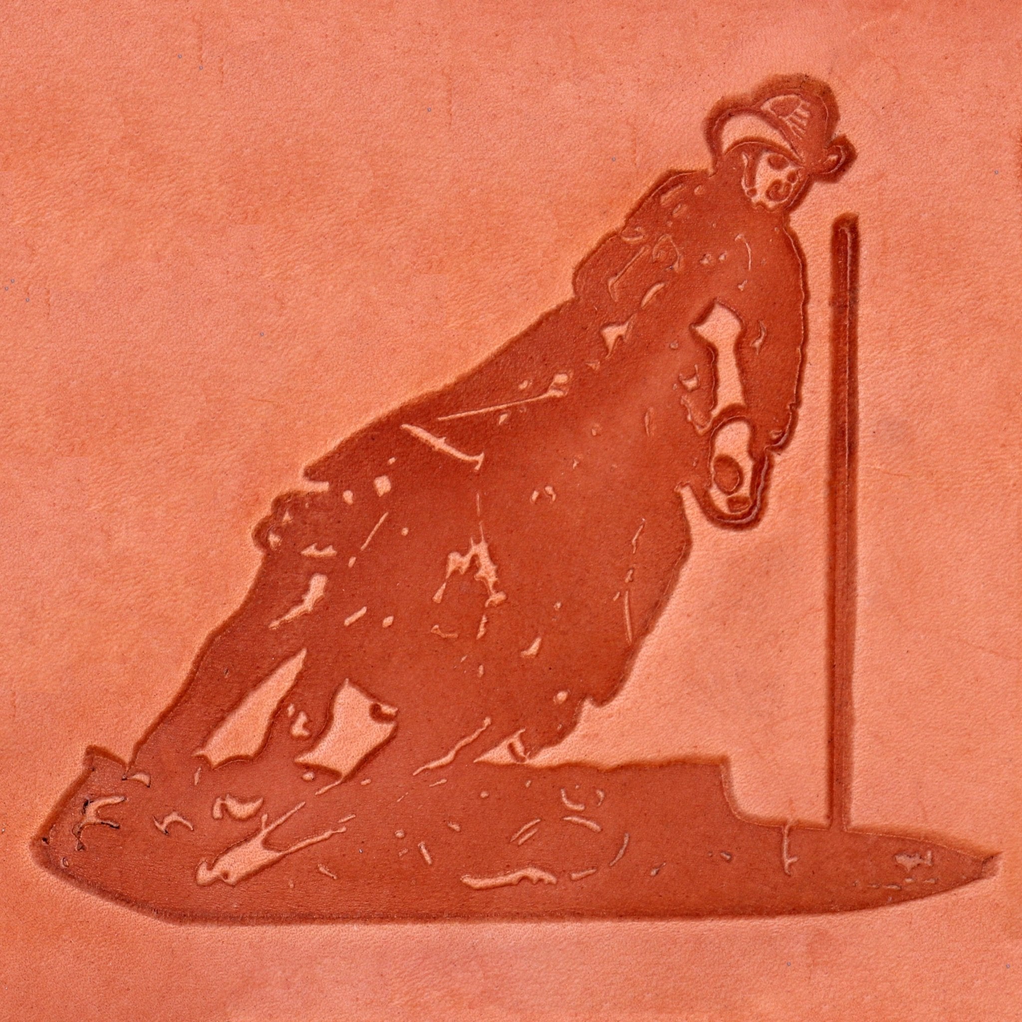 Poles Motif - Double J Saddlery