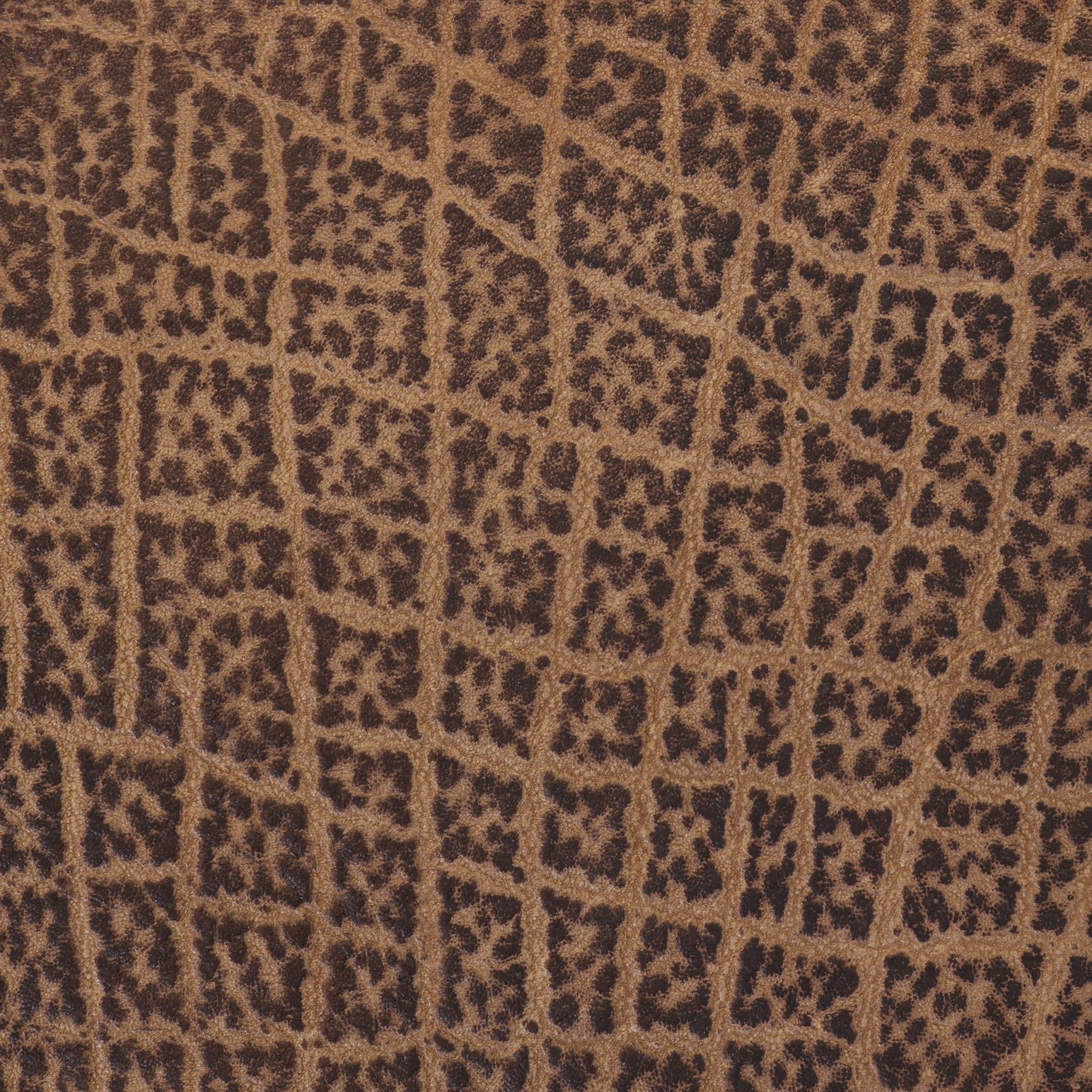 Safari Tan Elephant Print - SL1532 - Double J Saddlery