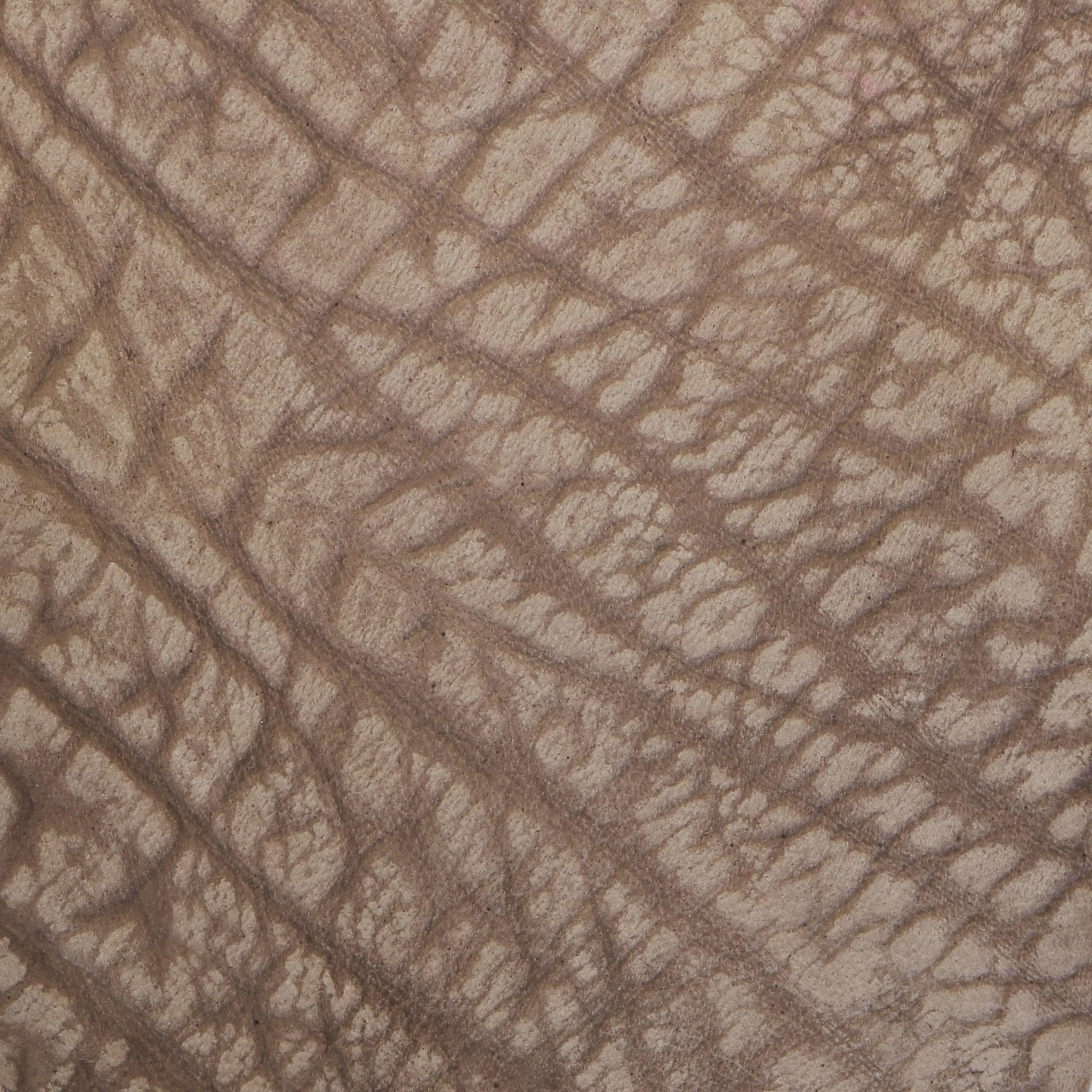 Sand Cape Buffalo - Double J Saddlery