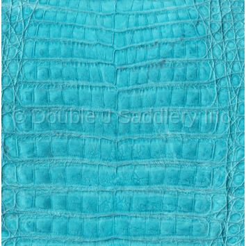 Turquoise Caiman Gator Leather - SL1435 - Double J Saddlery