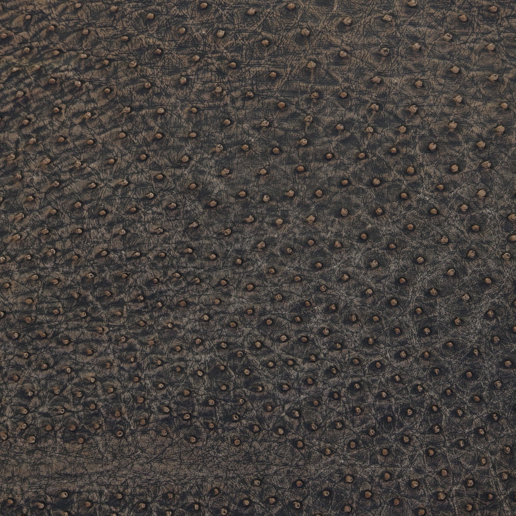 Vintage Antique Saddle Ostrich - SL1638 - Double J Saddlery