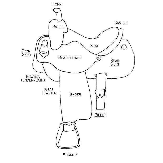 Saddle Terminology
