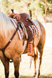 SPRLA408 - Double J All Around - Double J Saddlery