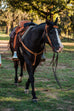 SRR229 - Double J Ranch Roper - Double J Saddlery