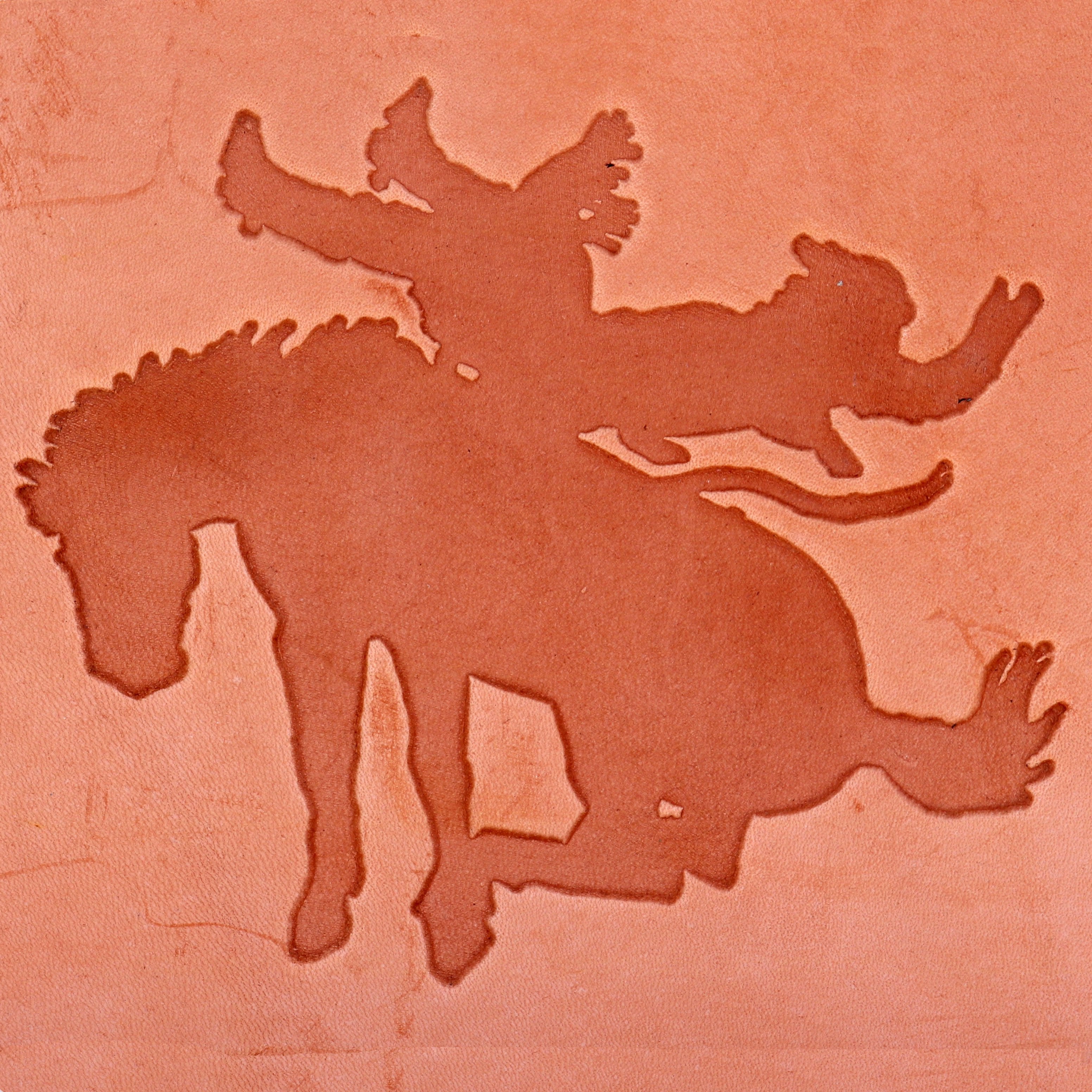 Bronc Rider Motif Design Option