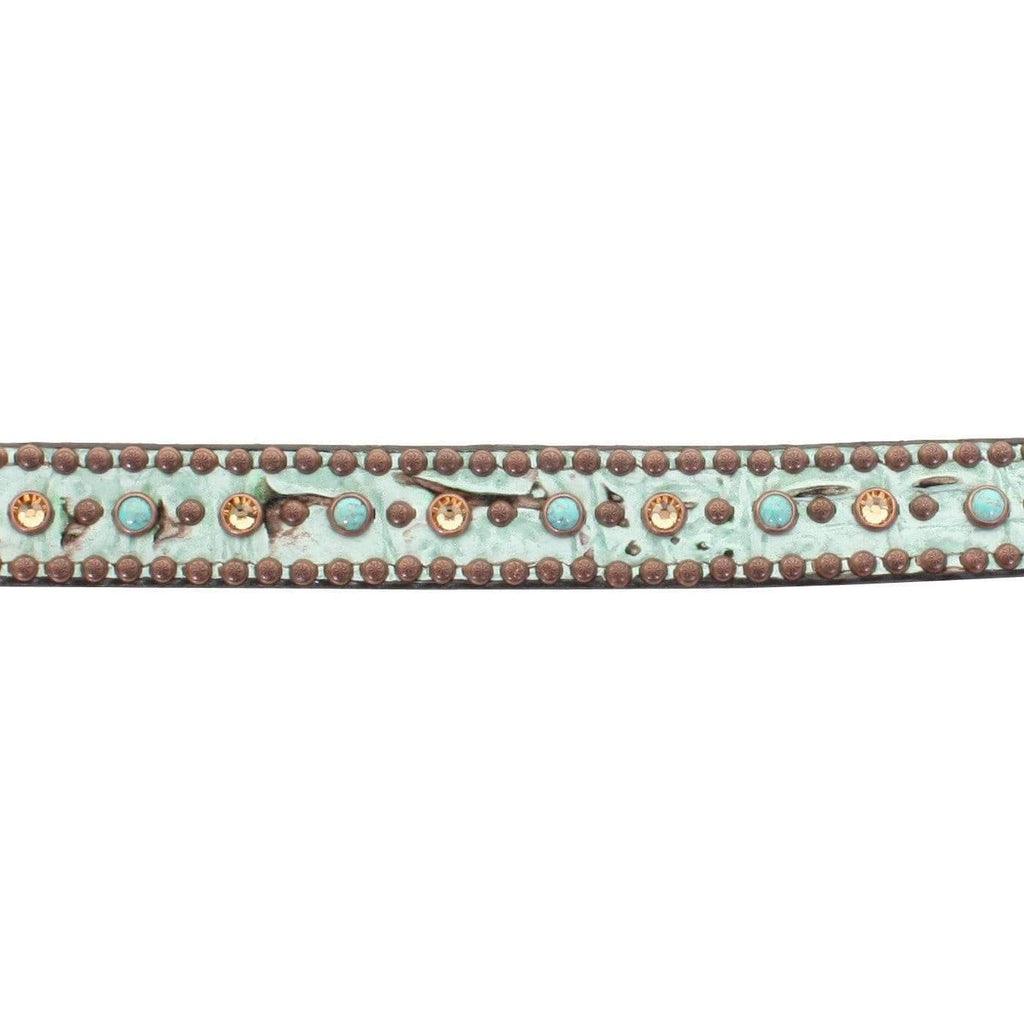 Dc34 - Mint Chocolate Chip Dog Collar Accessories