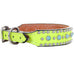 Dc42 - Neon Green Leather Dog Collar Accessories