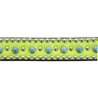 Dc42 - Neon Green Leather Dog Collar Accessories