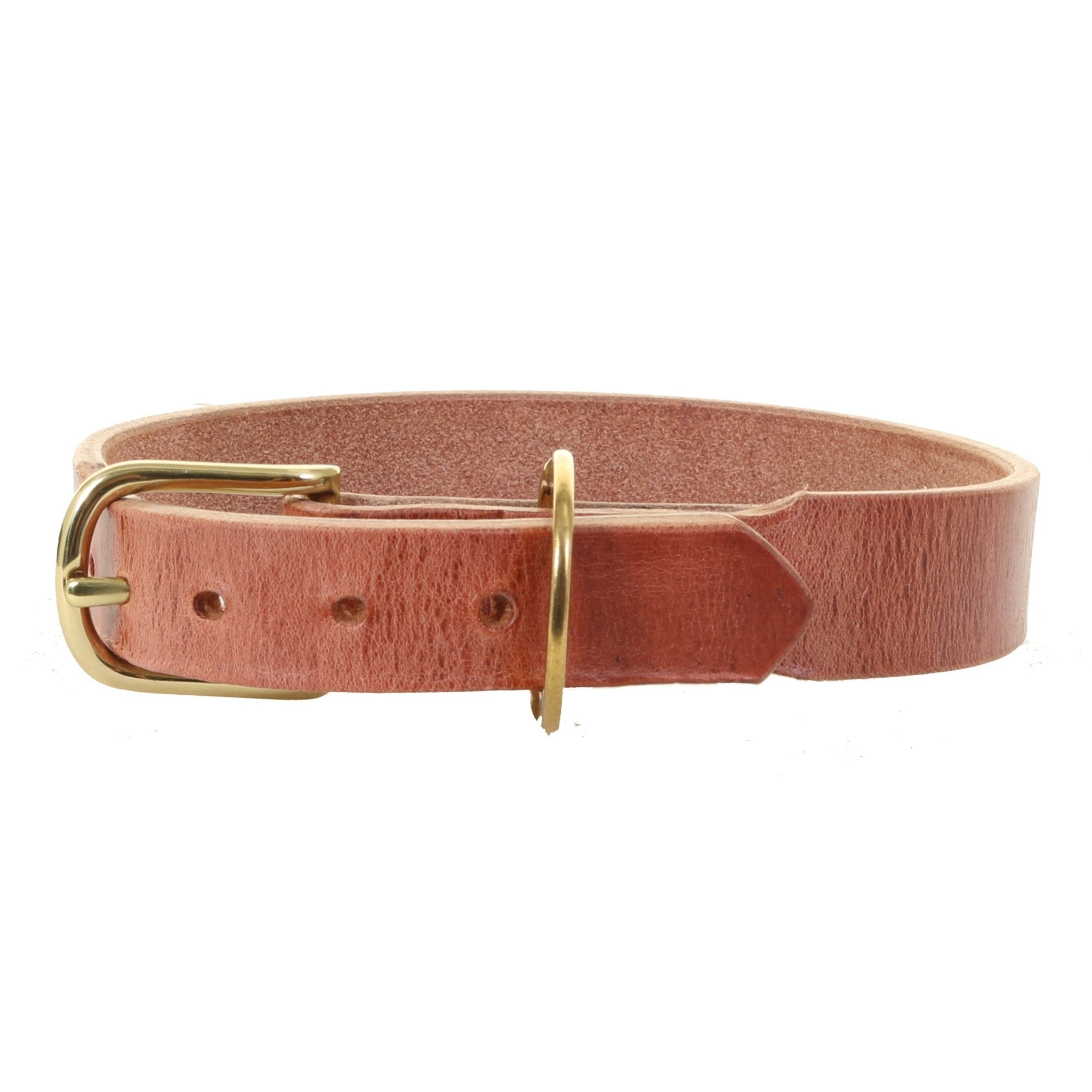 DC47 - Harness Leather Dog Collar - Double J Saddlery