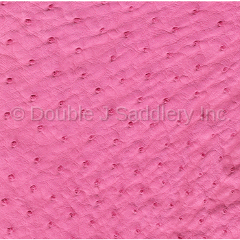 Indian Pink Ostrich Leather - SL249 - Double J Saddlery