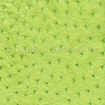 Lime Green Ostrich Leather - SL248 - Double J Saddlery