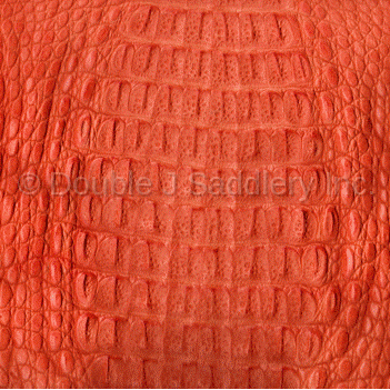 Orange Caiman Gator Leather - SL1429 - Double J Saddlery