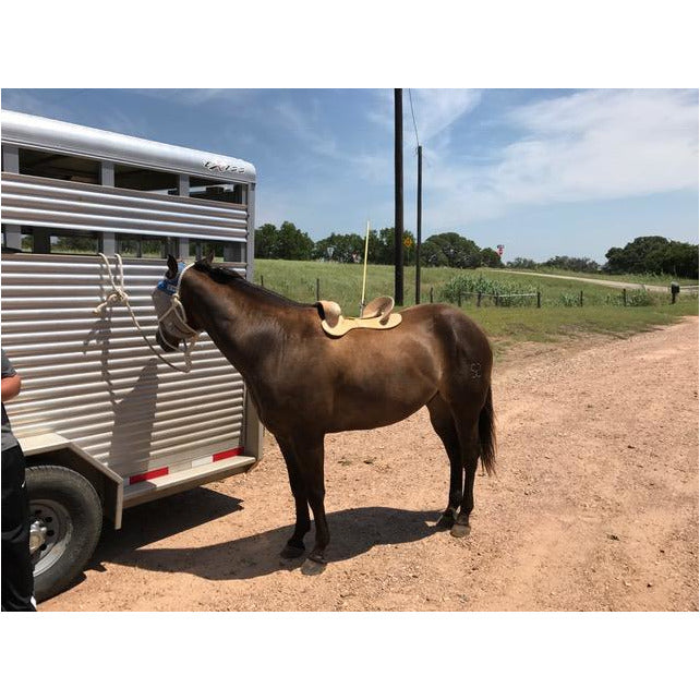 Saddle Fitting in Yoakum, Texas - Double J Saddlery