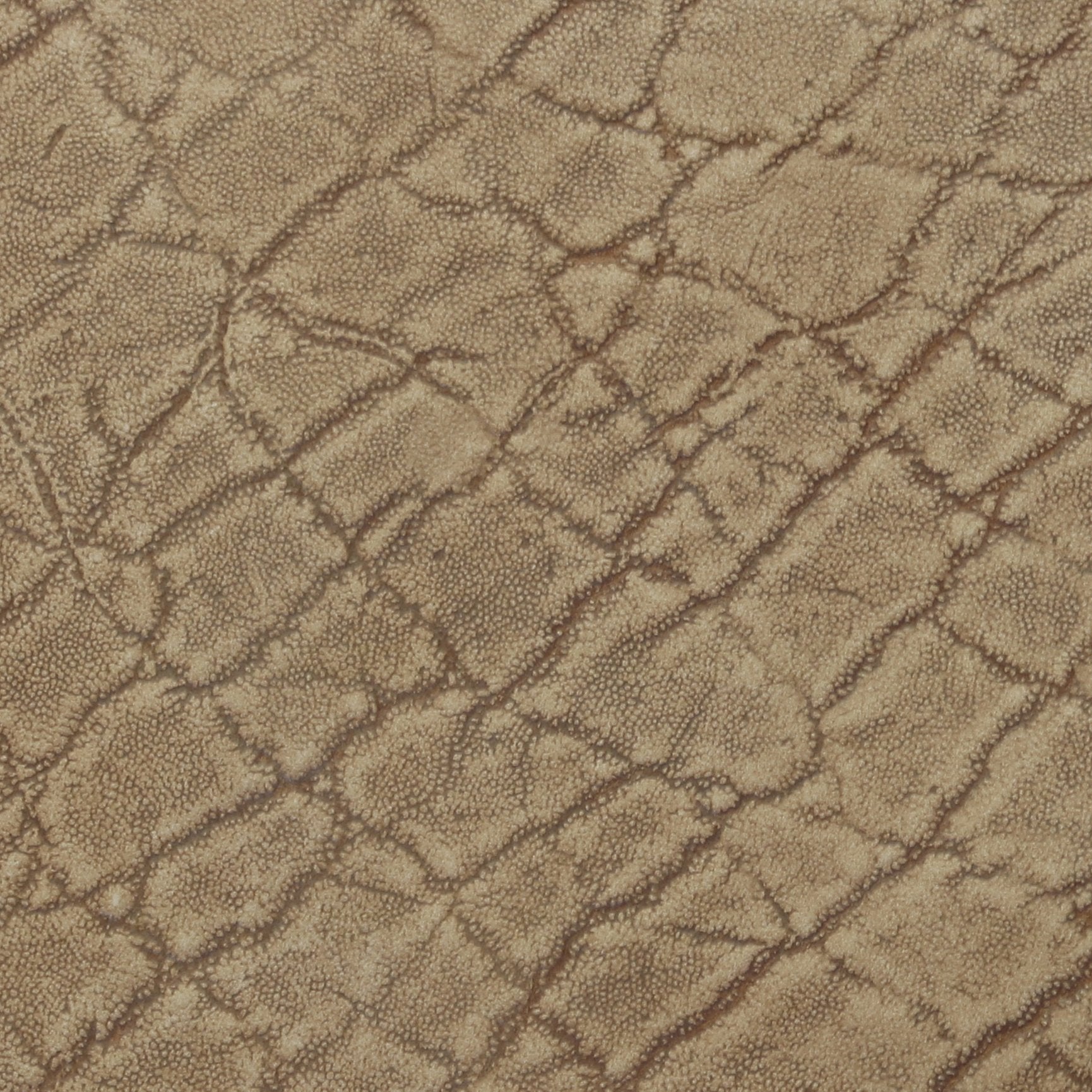 Sand Elephant Print - SL1644 - Double J Saddlery