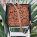 SQT13 - Sunflower Tooled Square Tote - Double J Saddlery