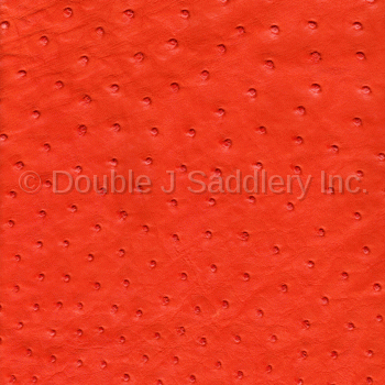 Tangerine Ostrich Leather - SL272 - Double J Saddlery