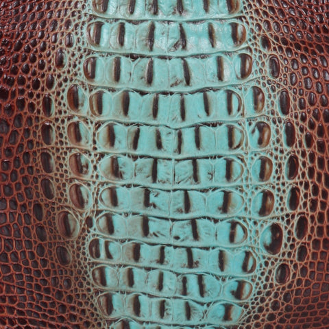 Turquoise Brown King Crocodile Print - SL1059 - Double J Saddlery
