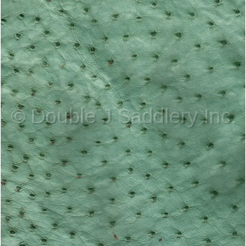 Turquoise Ostrich Leather - SL226 - Double J Saddlery