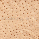 Wheat Ostrich Leather - SL229 - Double J Saddlery