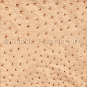 Wheat Ostrich Leather - SL229 - Double J Saddlery